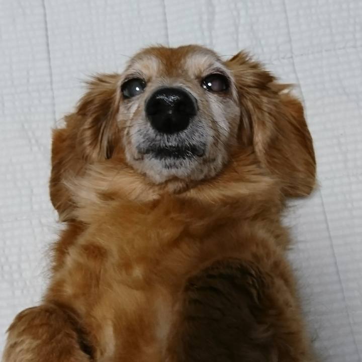 7b0f35ea 8e27 4bb9 8f62 9d3865bef083