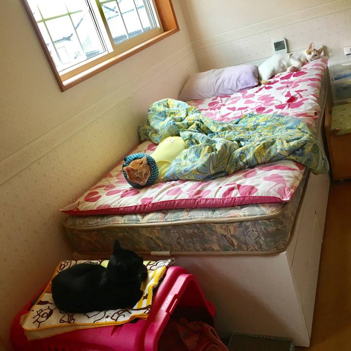 7b0fd42d f806 4862 a887 63ddc6d6065e