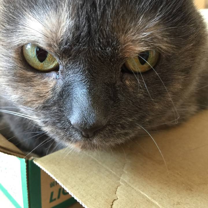 7b0fea0f c725 4dbf 9be5 b59af9cf1423