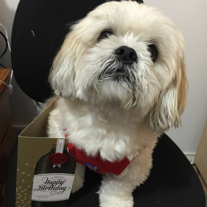 7b100d45 7799 4990 8c6f 56bdd4a2779e