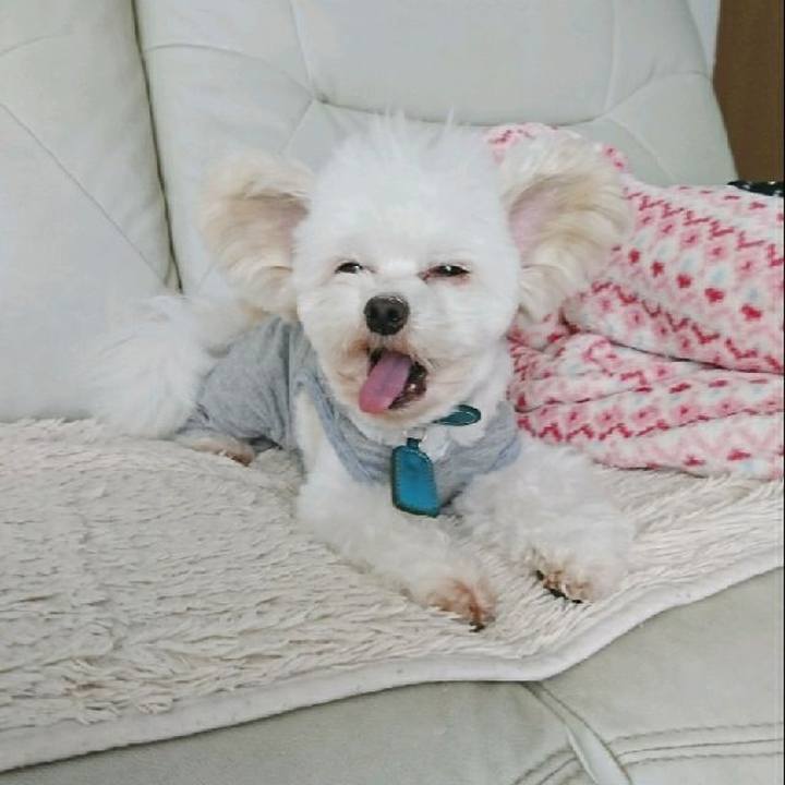 7b1042c7 8abe 439a 8bcc 538527c3f1d1