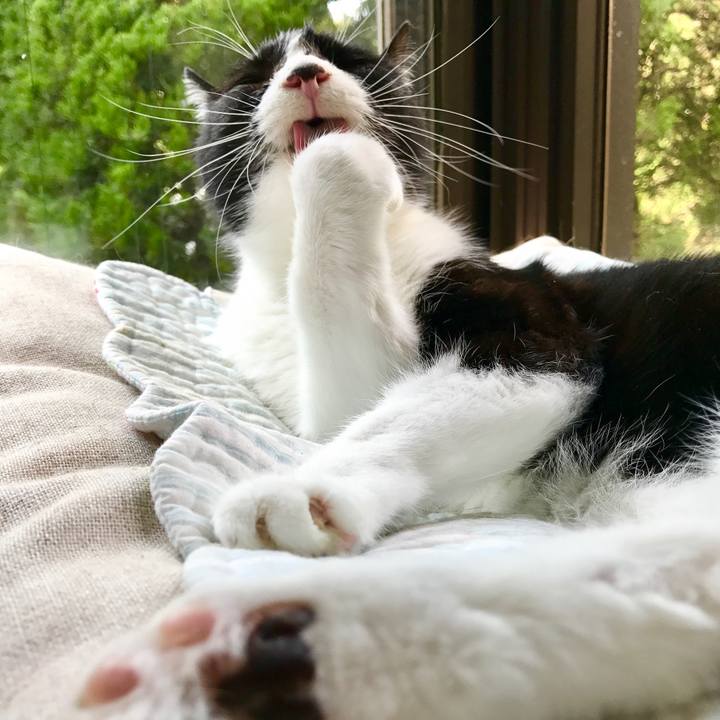 7b106f3d e72a 4613 b756 bf734333e925