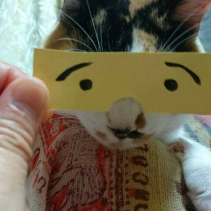 7b109763 e0ed 4c61 b9b5 45d62a1a5f84