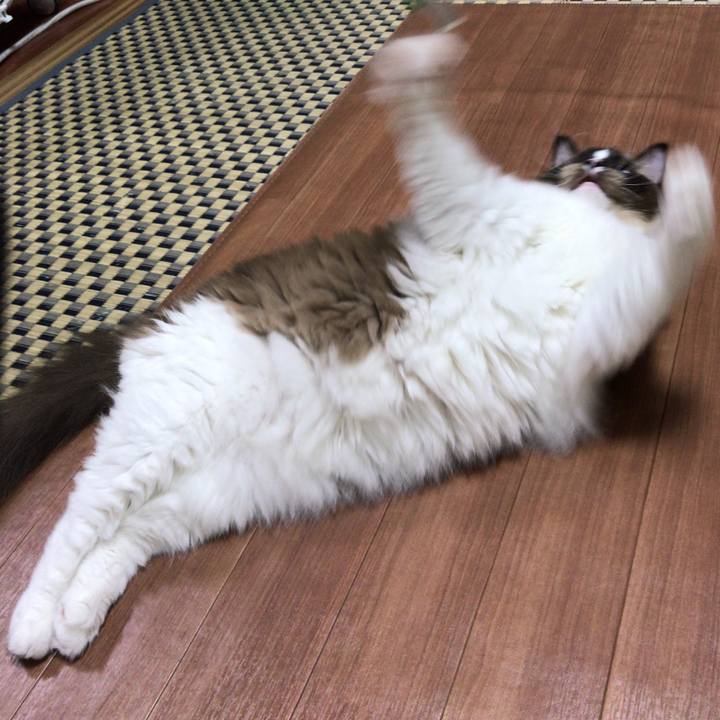 7b117daa 3a7a 4b43 89ef f04e661233f5