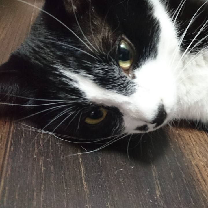 7b123e5f 006a 41ba bca9 b2be5e885590