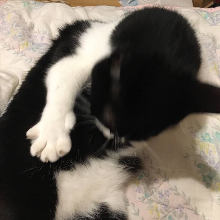 7b126474 e4da 4241 8f5f 77ea86a6285c