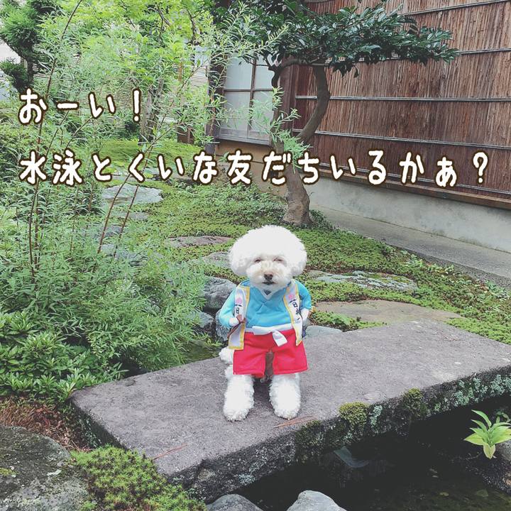 7b129651 ac87 4689 ba2c d4a05fe0903f