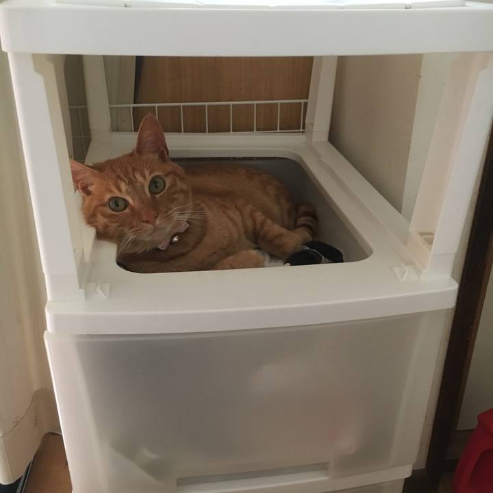 7b12eb42 067a 4df5 b91c 0b94c40b9ac8