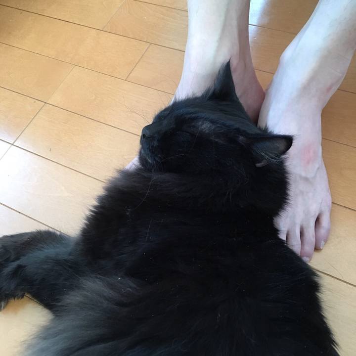 7b144af0 d11b 4bf6 b937 2cb869a56372