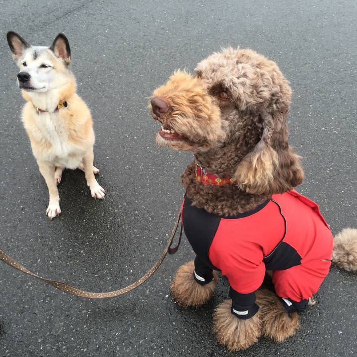 7b1509d9 a4f2 416d 89f4 d1c0ec92c7b4