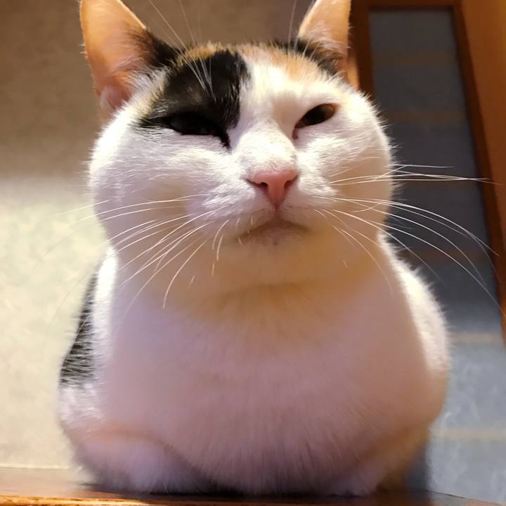 7b1567b1 7cd4 40de 8ec3 7dbeb6a2af4f