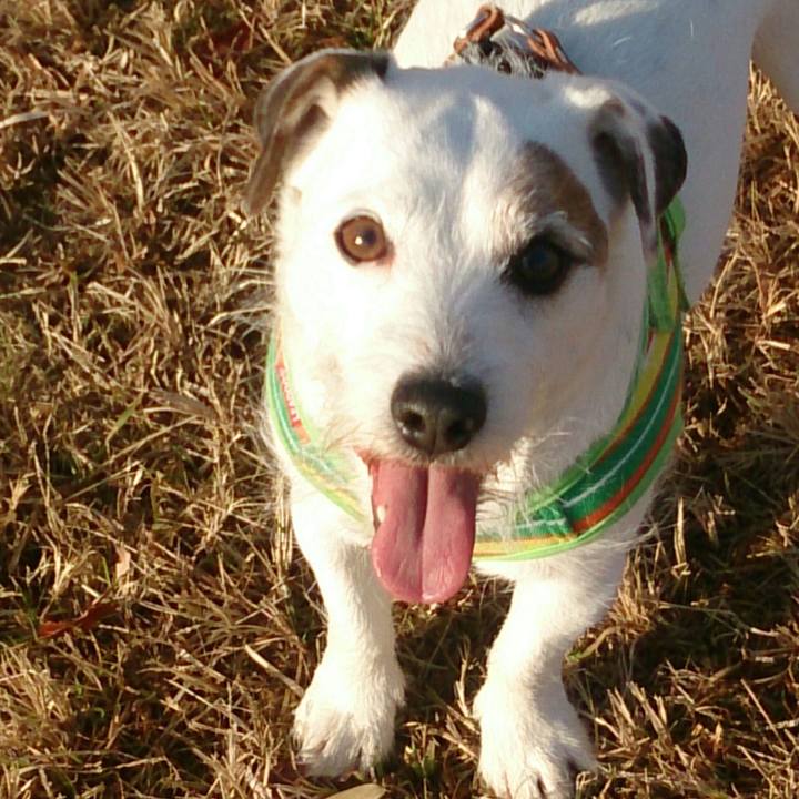 7b15d880 aea9 493f 98ef 1e7b3f596134