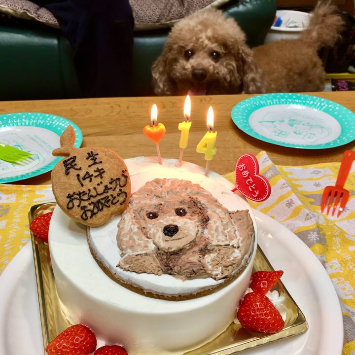 7b15e166 ffa5 4b83 882c 1b6c34fde028