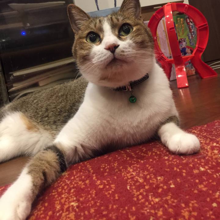 7b16debb 232f 4f59 991e 98bb4d0f765c