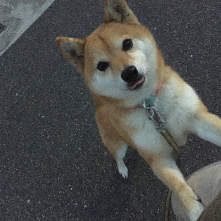 7b179dd6 cce5 4701 86fd e244dfd5c059