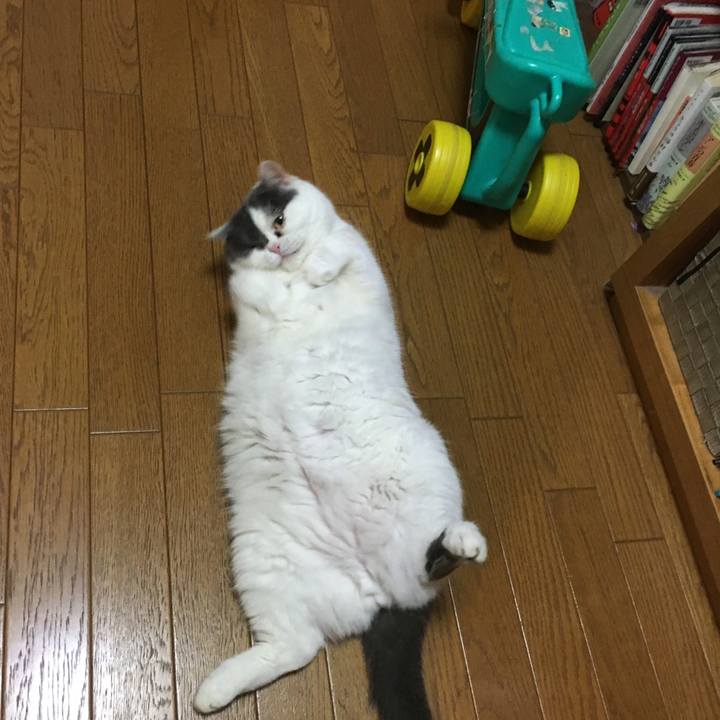 7b185a49 03e1 4fd4 a5b2 3397a54e3093