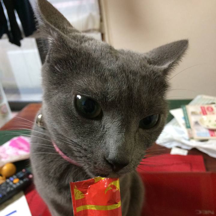 7b18c3a3 14d5 4c91 87ff 16ff42b58746