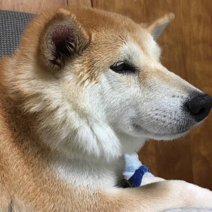 7b190736 4518 430b 896d 52382f57f766