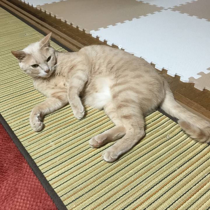 7b19a66d 9702 44f6 b593 0ac42feb693d