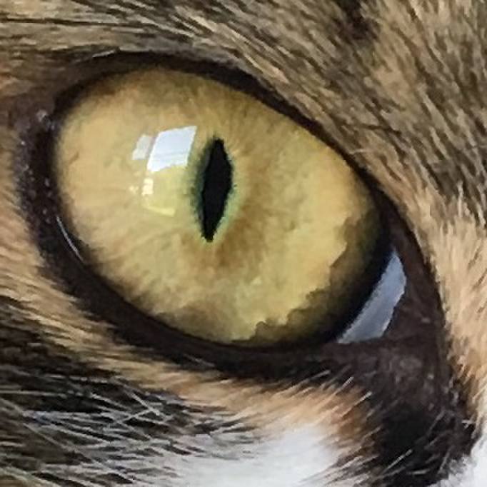 7b19d8f9 3e4f 498c a5c5 b3929a96b1e3