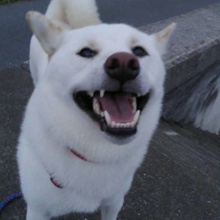 7b19e835 f27a 4742 9d2e db3086c17b95