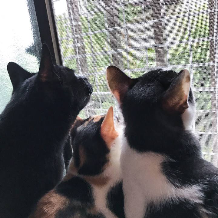 7b1ad416 7212 4415 b855 b0db105cb496