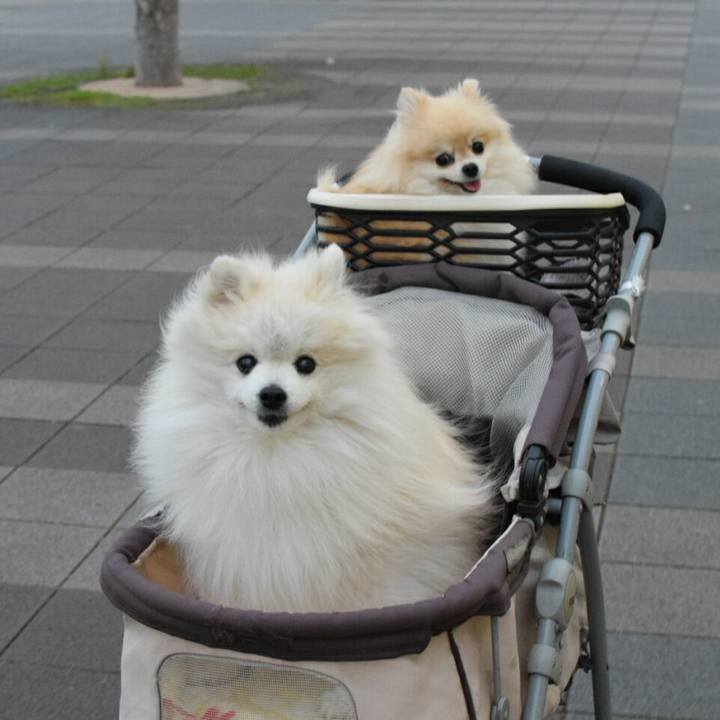 7b1b1518 8166 4683 af43 1729ec1a7912