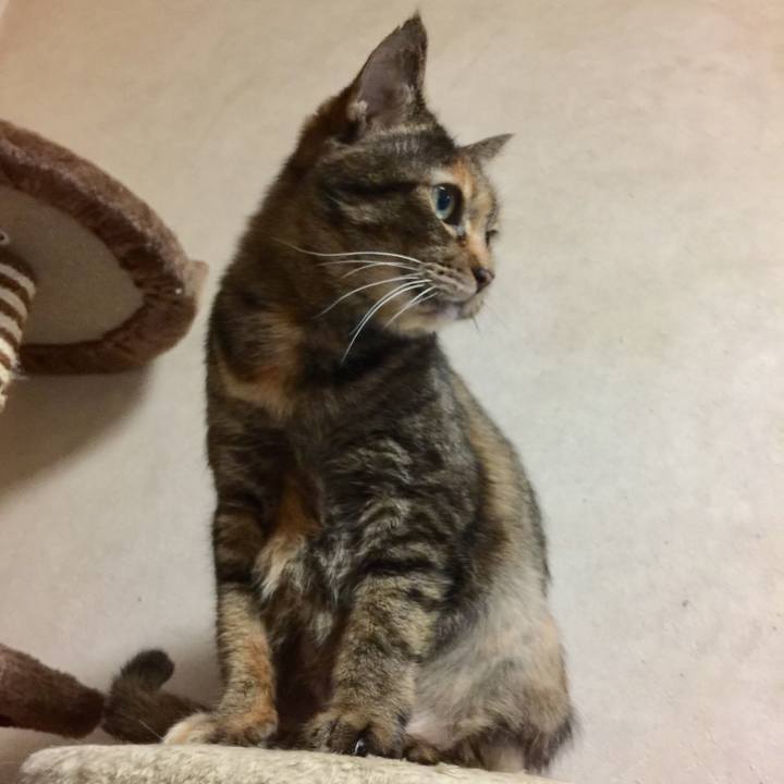 7b1b477b 80cf 48aa bdc6 bb466a90fda8