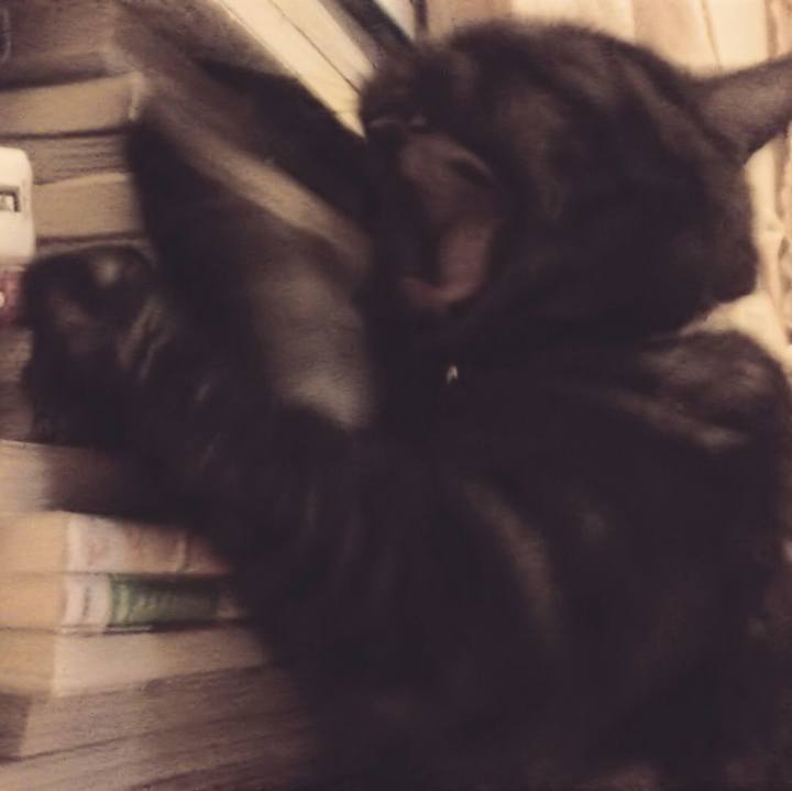 7b1b7127 4056 44f3 a0fc f0b7311c512c