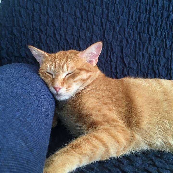 7b1b740e ef51 4702 b96e 75dfd8edb750