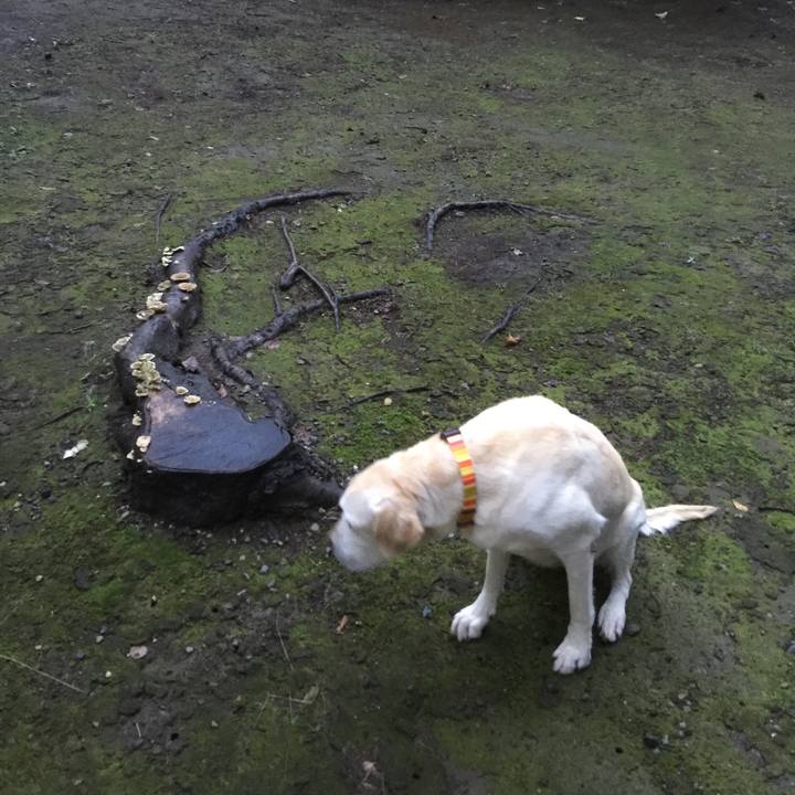 7b1bd3af fec4 4e5a 96bd e73b9af11c97