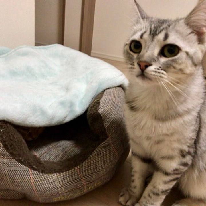 7b1be419 cc7f 4147 9cbf 30d2c32be48b