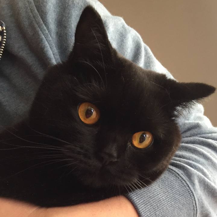 7b1be9be b50d 4828 bca4 ac9c7901f580