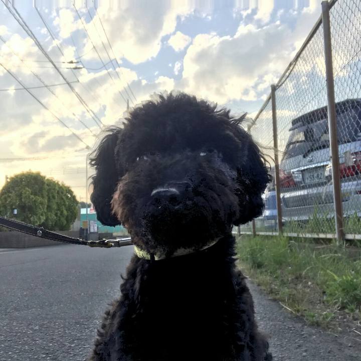 7b1c4a83 23e3 4431 979e bb7dde148db2