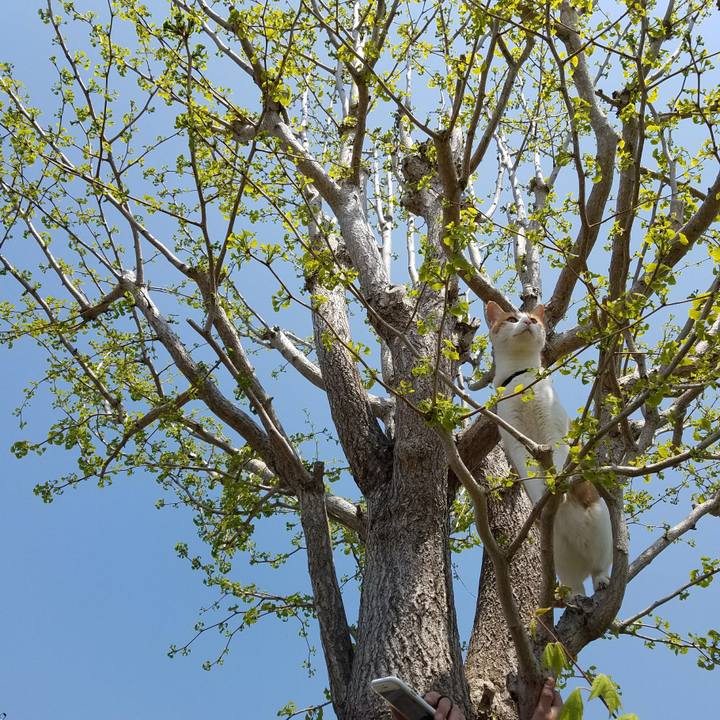 7b1c97a7 efc7 484f 9d04 9c8ee0bf7b40