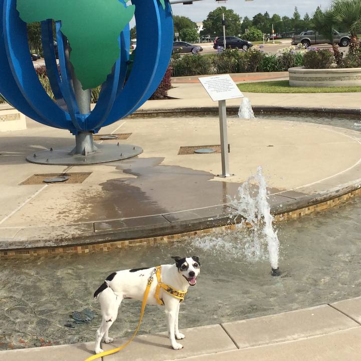 7b1d3ea8 a4a5 4998 9ff4 7caaeaefe241