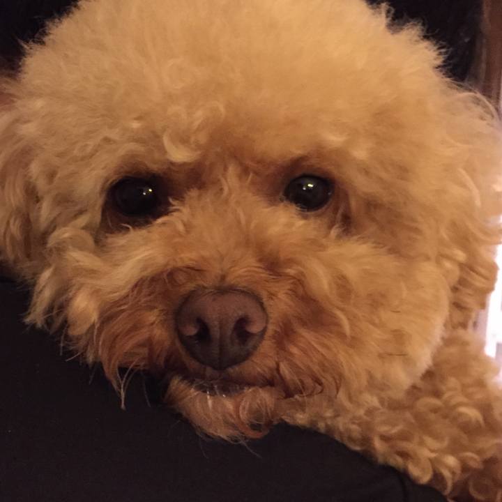 7b1d454c 3441 4761 8728 cd803587c29a