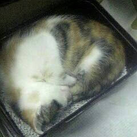 7b1e2846 1a77 455f 83ad 9d3f3cf5d1fd