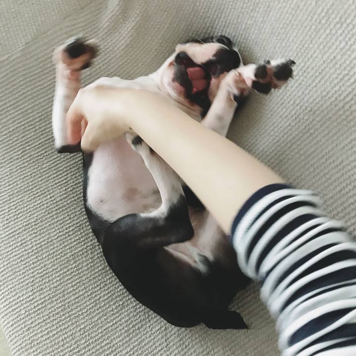 7b1e3cfd 0e65 4044 a65f edf350400e14