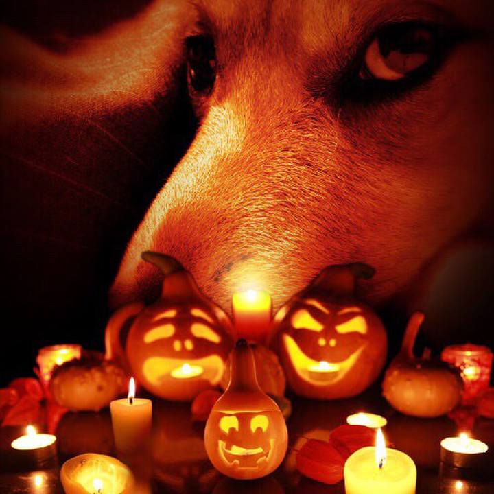 7b1f4329 9451 4eca b263 29707da17e97