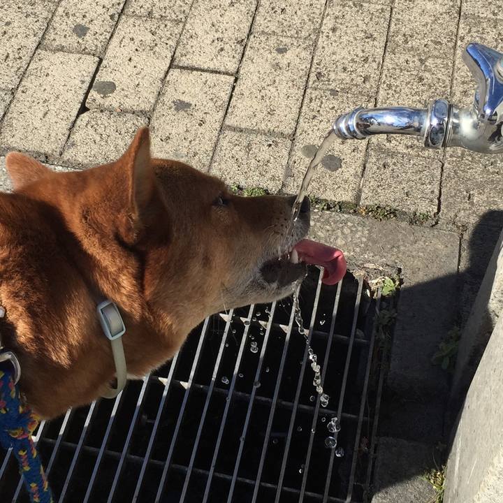 7b1fae5f 7bd3 496a 91a1 290ef21b1967