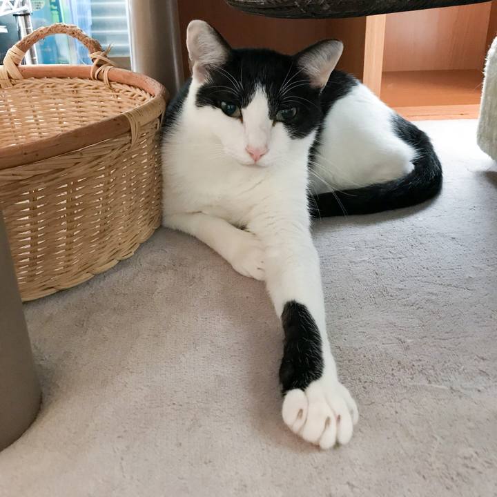 7b1fc2af 36ed 4f8f af0e a3064e3bb5bb