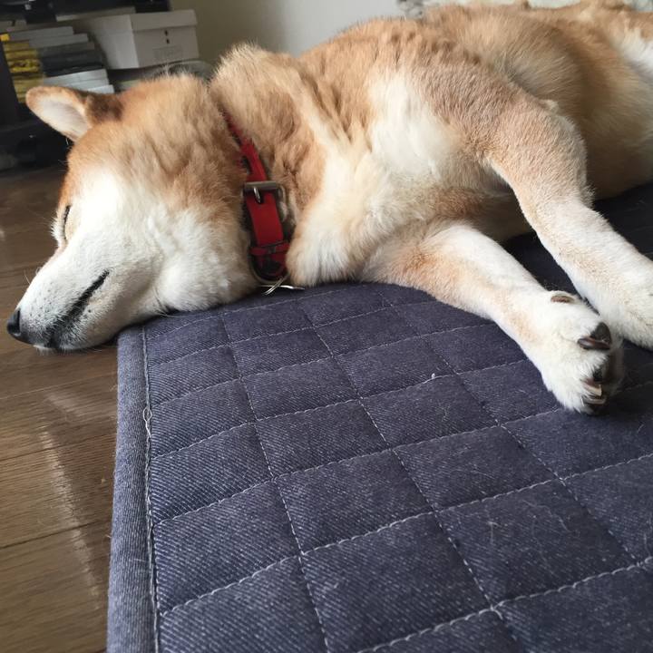 7b20ebcf 71f4 4bb2 9622 cea043c62d4b