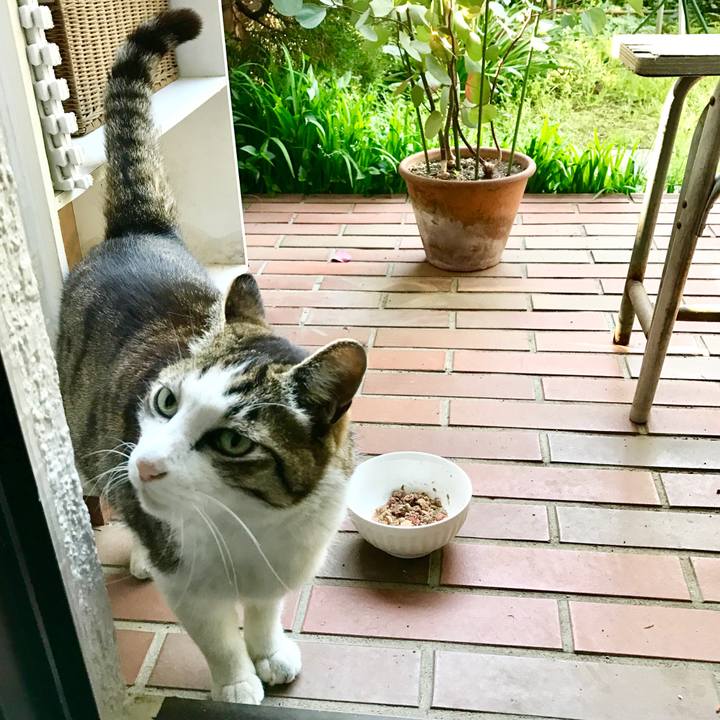 7b20f6dc a151 4280 9b13 c2e36541dae0