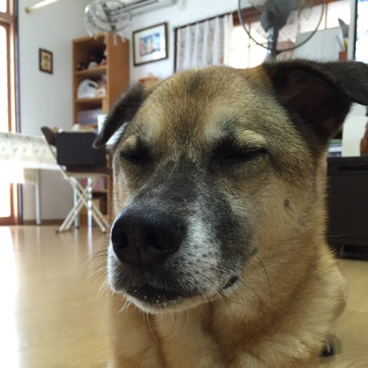 7b21fb30 ab57 4c29 9d7a 9ca8876ec537