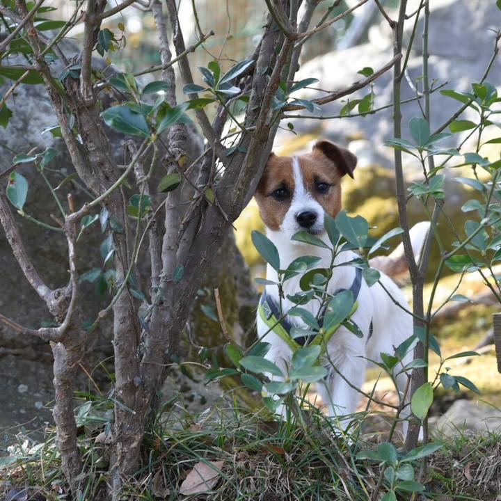 7b227b2f b623 4b5a 8f87 9a21319c005d