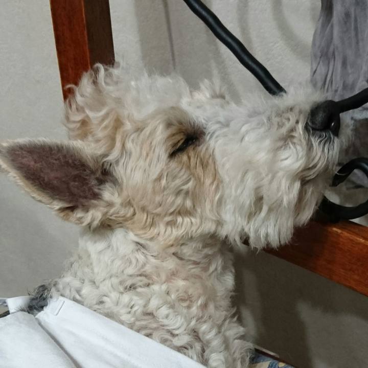 7b235896 c1bb 4dc6 be99 2a03a1d9f2ea