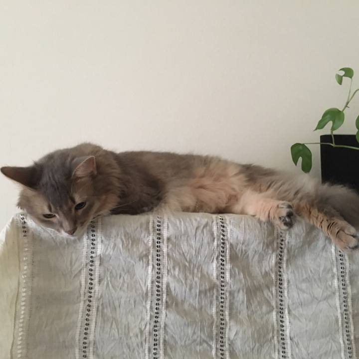 7b247b7b 05e2 46fe 93a2 0d9a64c30135