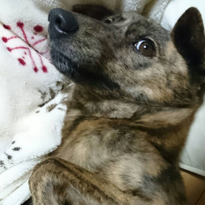 7b24c7e5 6138 4d47 b373 f6edaac93b1d