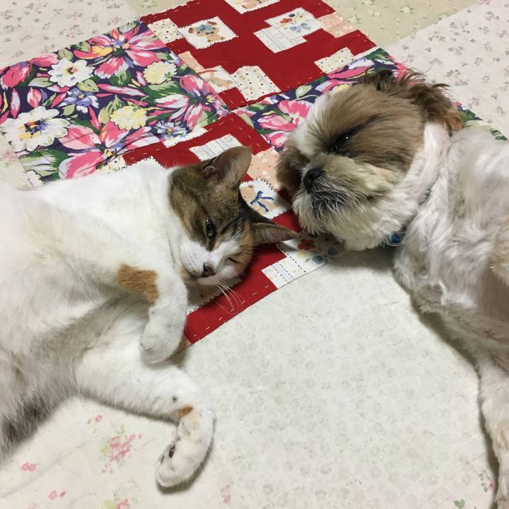 7b257d9b 7718 4c8e 84cc 546693603d93